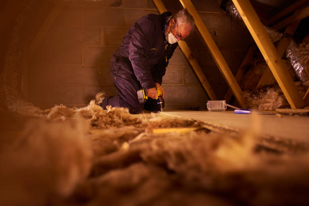 Best Insulation Maintenance and Repair in Manchester, IA